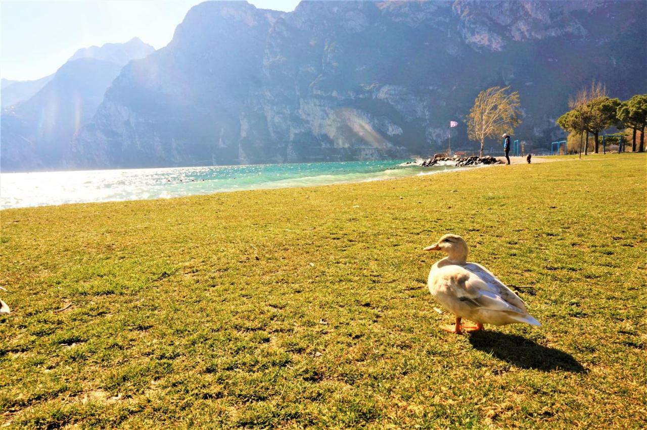 Apartment Brione Riva del Garda Exterior photo